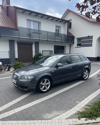 Audi A3 cena 18500 przebieg: 228000, rok produkcji 2006 z Kraków małe 79